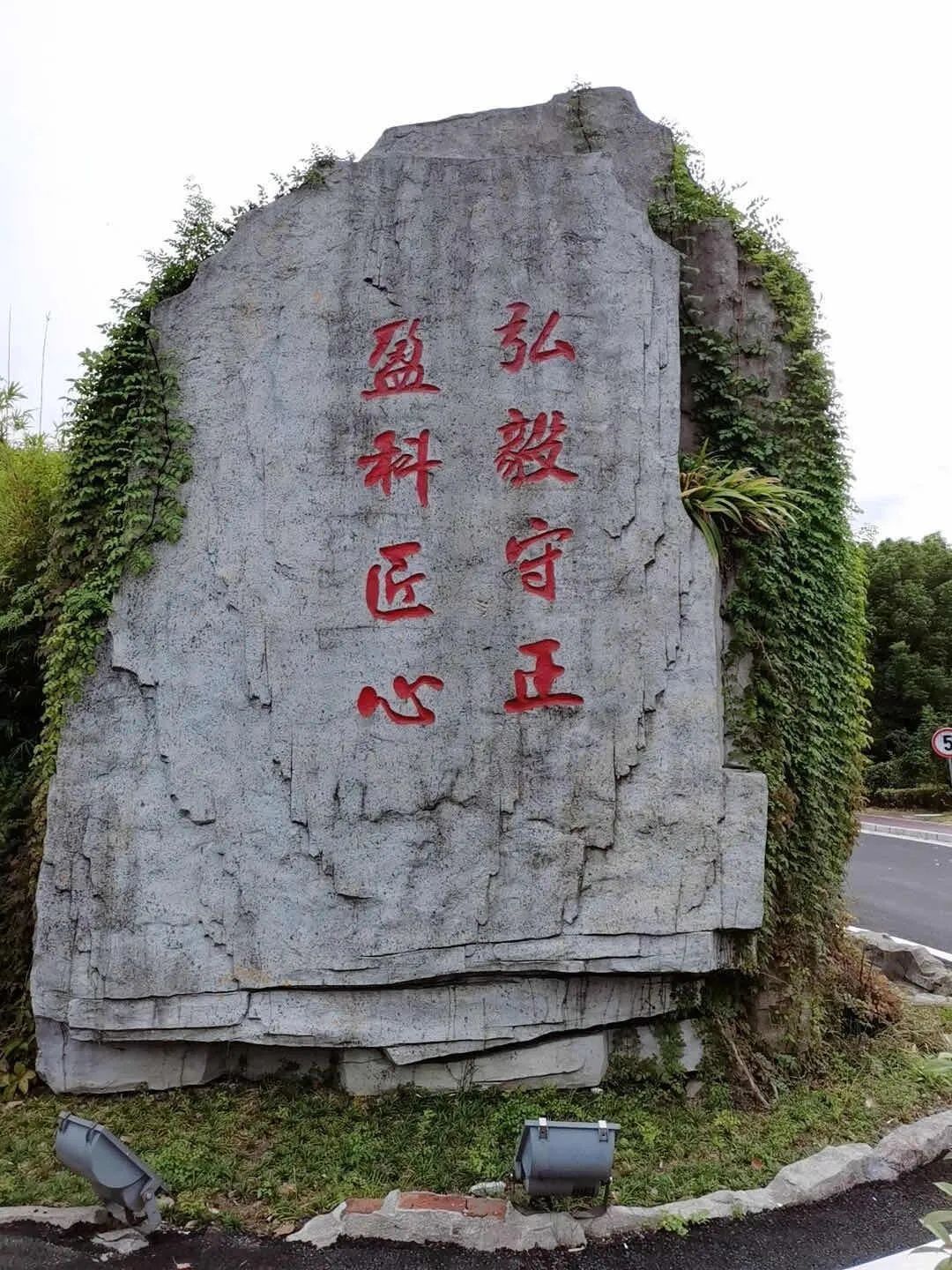 1593476818400147.jpg